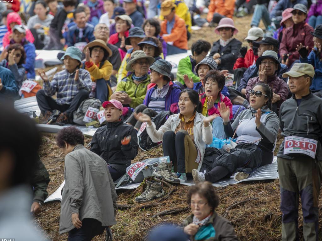 សកម្មភាពស្ម័គ្រចិត្តសម្រាប់ការលេងជាមួយគ្រួសារ