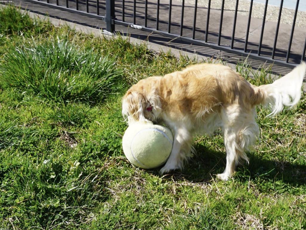 ααΆααααααΆαα½ααααα½ααΆα: αααααααΆαααα’α₯αααα
αααααααΆαααααα½ααΆα