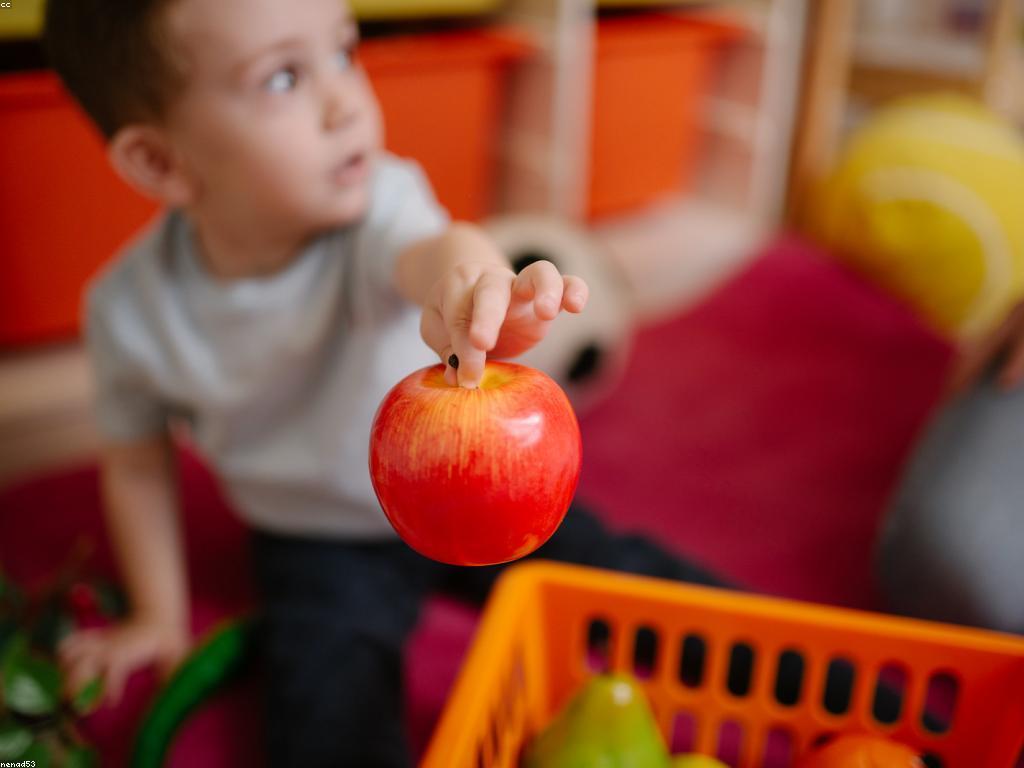 ការស្វែងរកគន្លងលេងស្លត: សារសំខាន់នៃការសិក្សា